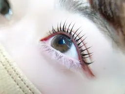 ⭐️ミニモ限定練習モデル⭐️上まつ毛パーマ