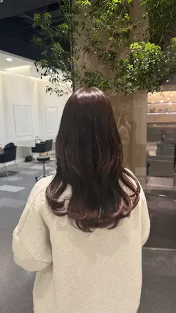 ワンカラー＋トリートメント✨️