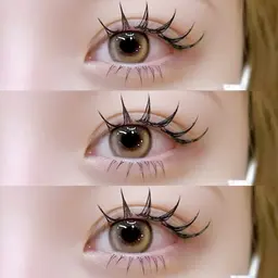 《持ち最強✨》バインドロック80束(240本)