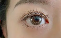 下まつげつけ放題　フラット3000円 /ボリューム3980円
