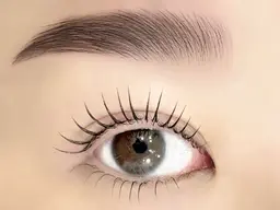 上下まつげパーマ×ハリウッドブロウリフト(HBL)