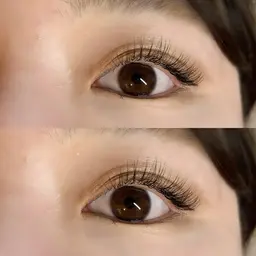 【新規様のみ】3Dボリュームラッシュ300本（50束×50束）【カラー変更＋550円】