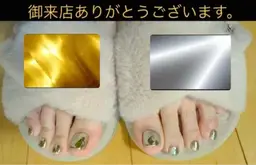 ワンカラー＋ミラーネイル（10本）＋シンプルデザイン可