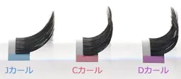 ※平日限定※【セーブル】● Cカール９〜13mm（0.15mm）限定 120～160本