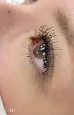 マツエクフラット付け放題【他店様施術付替えオフあり】