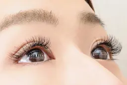 マツエク練習モデル（100本）