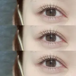 《 束感仕上げ 𓈒 ˖𐙚🪽韓国ラッシュリフト 》