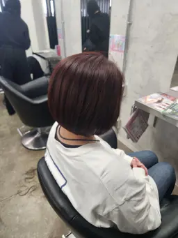 【平日限定】レディースカットモデル