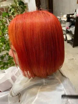 傷まないダブルカラー&トリートメント（ブリーチかライトナー）