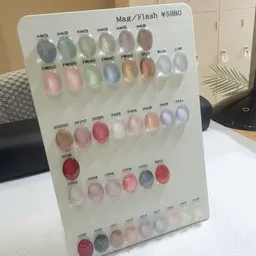 《パラジェル/フィルイン》 FOOTマグネットorフラッシュorミラーorオーロラワンカラー(オフ込み)