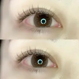 ALLブラウンエクステ付け放題🤎フラットラッシュorセーブル選択ok(ご来店３回目迄利用可能)4回目7000円