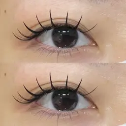 Wフラットラッシュ80束