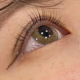 ✨【9.10日限定】✨まつげパーマ🐋