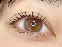 当日限定ミニモ価格❤︎まつ毛パーマ　3500円　パリジェンヌ別途1000円