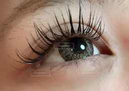 ５Dボリュームラッシュ（フレアタイプ）付け放題　320本まで💛　≪オフ代込み≫