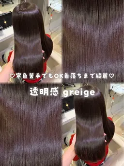 【🫧美髪になれる🫧】ケアカラー+4step Aujuaトリートメント✨キューティクル補強付き🌷