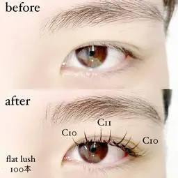 フラットラッシュ100本　🌷補足説明の注意事項必読