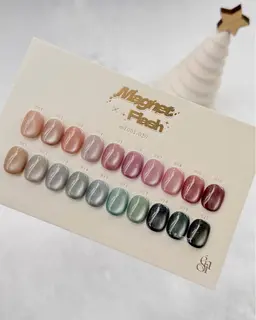 1/10 16:30オフ無しの方限定🎀マグネットorフラッシュマグネットワンカラー