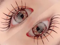 モデル【12月20日限定】限定フラットラッシュ上つけ放題