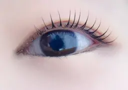 ラッシュリフト