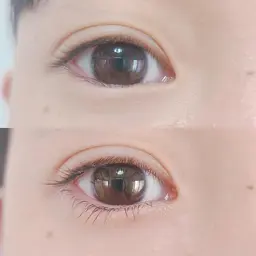 再来　アイリッド下のみ