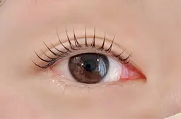まつげパーマ　※日時・時間指定あり