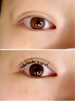 セーブルつけ放題