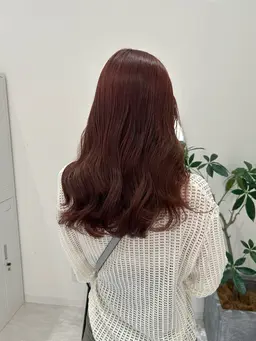 【カットなし】オーガニックフルカラー ¥6,500