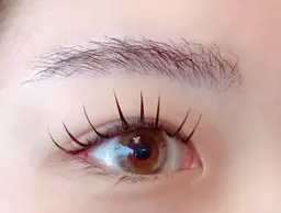 【ミニモ特別価格‼️】高持続Wフラットラッシュ120本(オフ込み)大人気の束感仕上げも可能です✨️