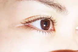 上下まつ毛パーマ￥8000→￥6000