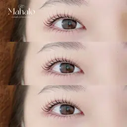 🤍上下ラッシュリフト🤍