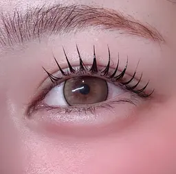 【✨12月限定✨】🉐20%off⟡🎀上下まつげパーマ🎀〔パリジェンヌorまつ毛カール〕‎コーティング仕上げ付き🤍