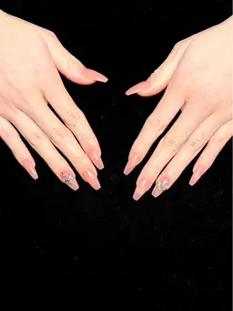 チップ長さだし10本+450色 マグネット/ラメ/ワンカラ 2個パーツ （オフ别料金）