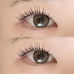 ‼️クリスマス限定🎅‼️人気No.１韓国風束感まつ毛パーマ［コーティング仕上げ付き🌼］