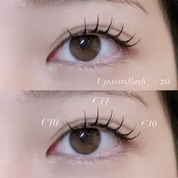 ˖ ࣪⊹ アップワードラッシュ100本 ˖ ⊹