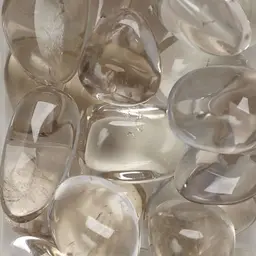 【他店付け替えOffあり】Foot👣┋One Color┋