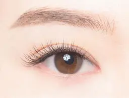 🔷オフありの方専用🔷　　　　　　　　　フラットラッシュ 100本 🎀オフ無料(アイシャンプー付き)