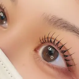 【︎︎︎︎☑︎学生限定】˖ ࣪⊹ハリウッドブロウリフト【ワックス+間引き込み/眉毛】˖ ࣪⊹