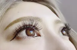 モニター価格📸《ボリュームラッシュ》2時間付け放題🖤