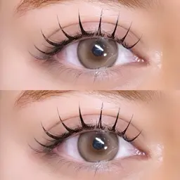 🪽フラットラッシュ100本まで※オフ別🪽