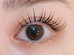 ダブルフラットラッシュ 【120束】➕束感コーティング仕上げ