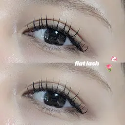 ﾌﾗｯﾄﾗｯｼｭ🖤❨100本❩