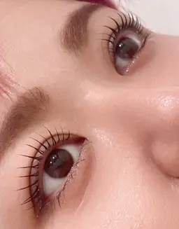 【2/15まで限定】下まつげパーマ🦋