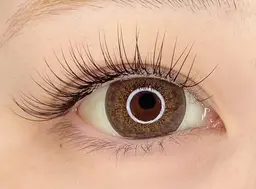 🪞🩰minimo特別価格🩰🪞フラットラッシュ120本（LED+1000円）