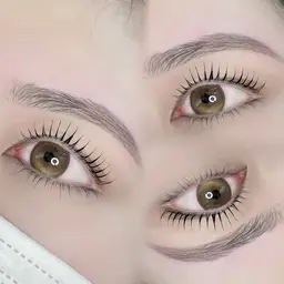 上下まつ毛パーマor上下パリジェンヌ+眉毛wax （コーティング仕上げ付き）