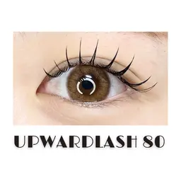 【オフ込み】アップワードラッシュ80本