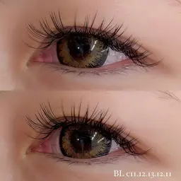 バインドロック140束