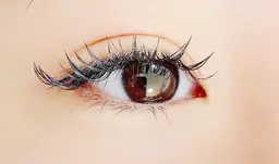 バインドロック　120本