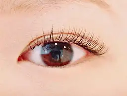 カラー1色つけ放題　オフ・コーティング込