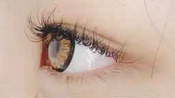 ❤ご新規様限定❤フラットラッシュ１４０本+育毛トリートメント（アイシャンプ―・アイパック・オフ込み）３回同じ価格で🆗